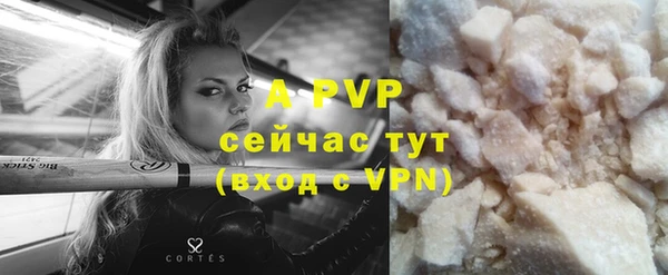 крисы Белокуриха