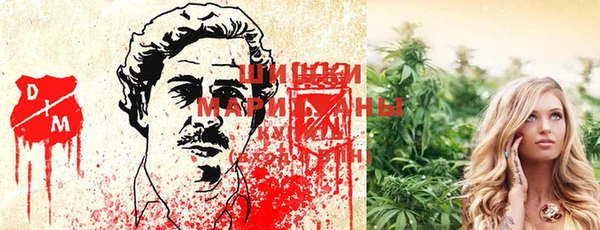 крисы Белокуриха