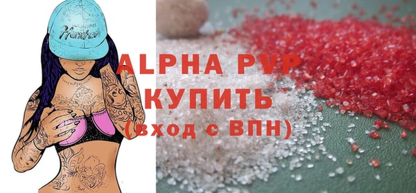 крисы Белокуриха