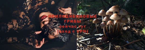 соль ск Беломорск